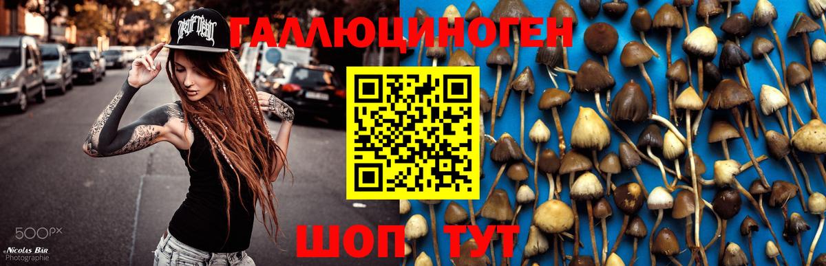Галлюциногенные грибы Magic Shrooms Славянск-на-Кубани
